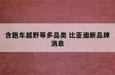 含跑车越野等多品类 比亚迪新品牌消息